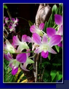 [Click to enlarge]